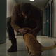 Illustration for article titled Sure, Captain Marvel is great, but we're here for the cat, wrong name and all
